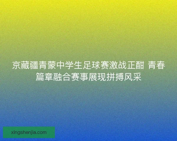 京藏疆青蒙中学生足球赛激战正酣 青春篇章融合赛事展现拼搏风采