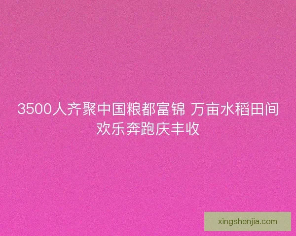 3500人齐聚中国粮都富锦 万亩水稻田间欢乐奔跑庆丰收