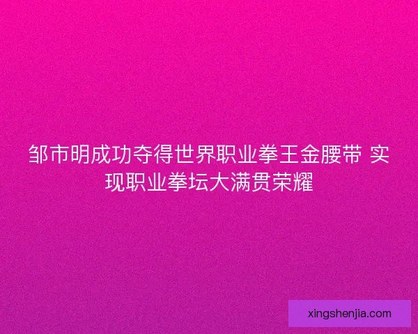 邹市明成功夺得世界职业拳王金腰带 实现职业拳坛大满贯荣耀