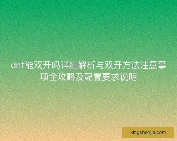 dnf能双开吗详细解析与双开方法注意事项全攻略及配置要求说明
